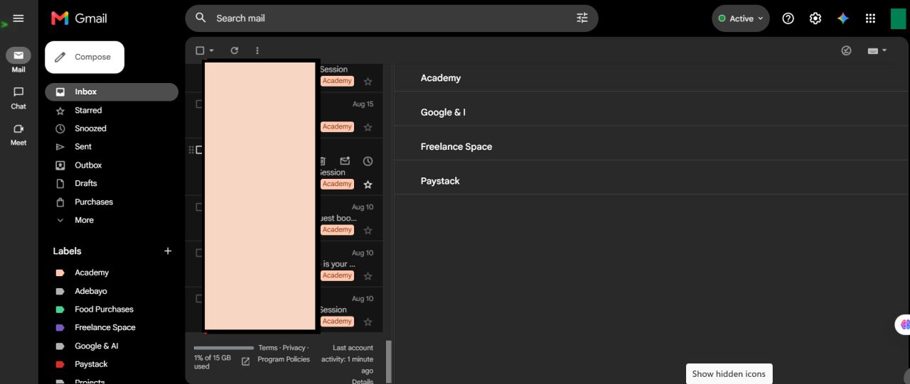 Managed Gmail inbox with a structured label system — Academy, Freelance Space, Paystack, Google & AI — keeping every message category organized